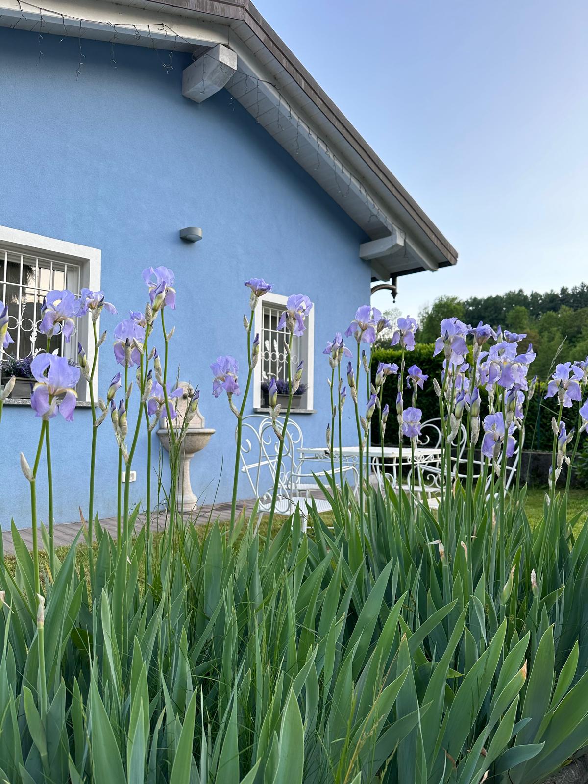 Il Loft Azzurro